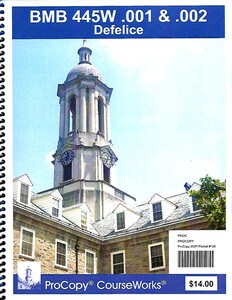 BMB 445W Defelice packet 128 cover